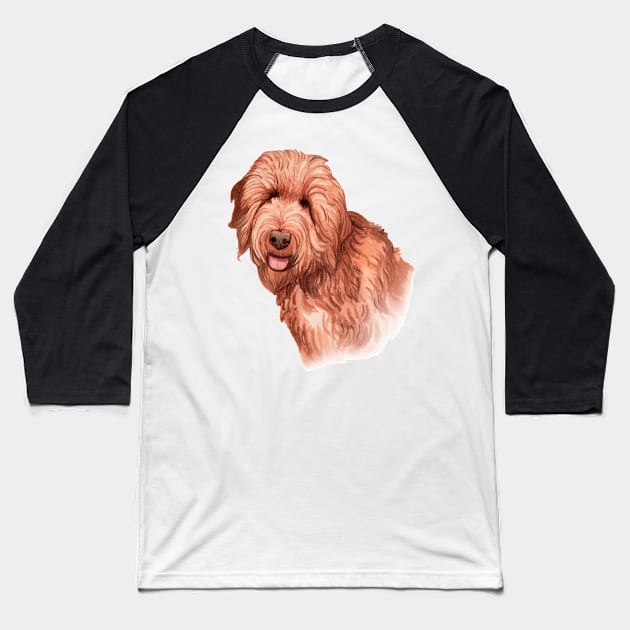 Golden Doodle Baseball T-Shirt by RainbowAndJackson